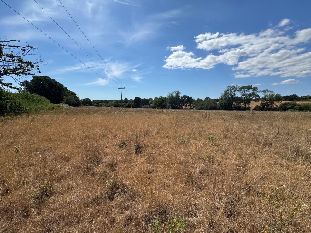 Lot: 85 - FREEHOLD LAND EXTENDING TO ALMOST 8.5 ACRES - View of the land 1